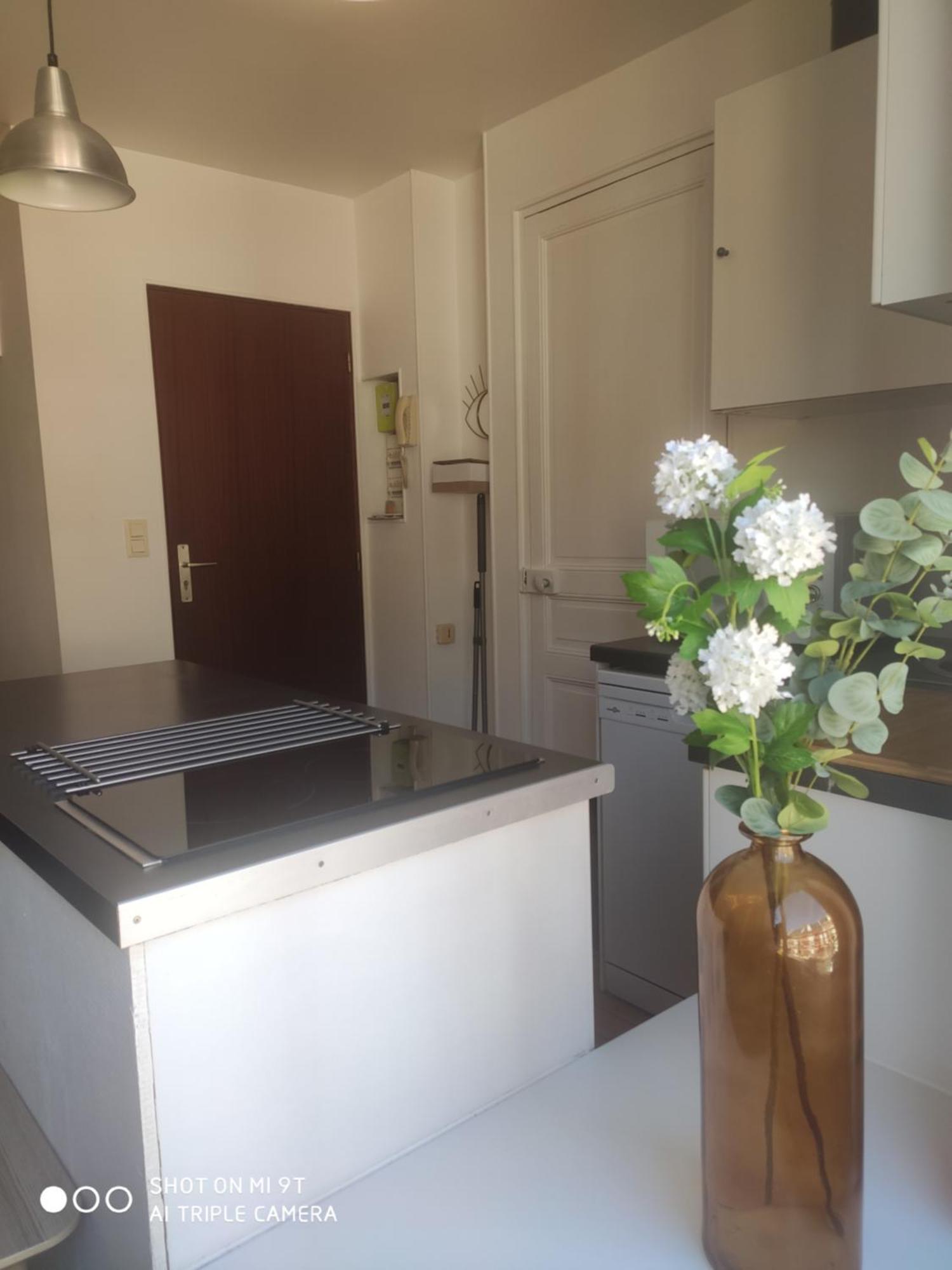 Apartment Chaleureux T2 Au Style Vintage - Rue Gratuite *